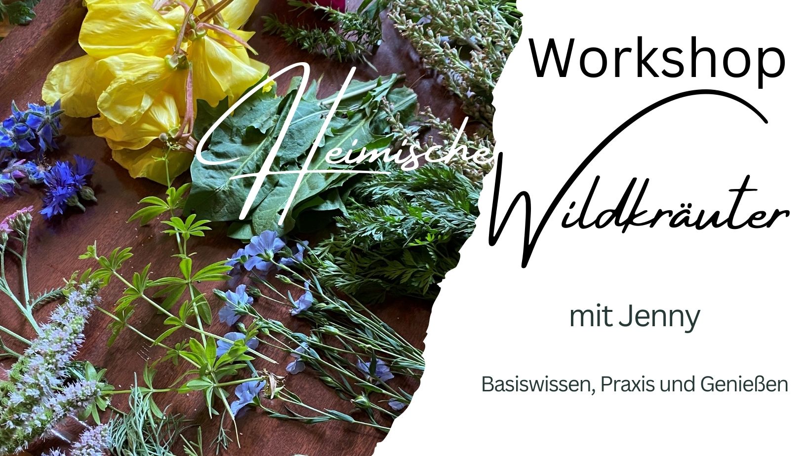 “Heimische Wildkräuter” Hof Birkenkamp